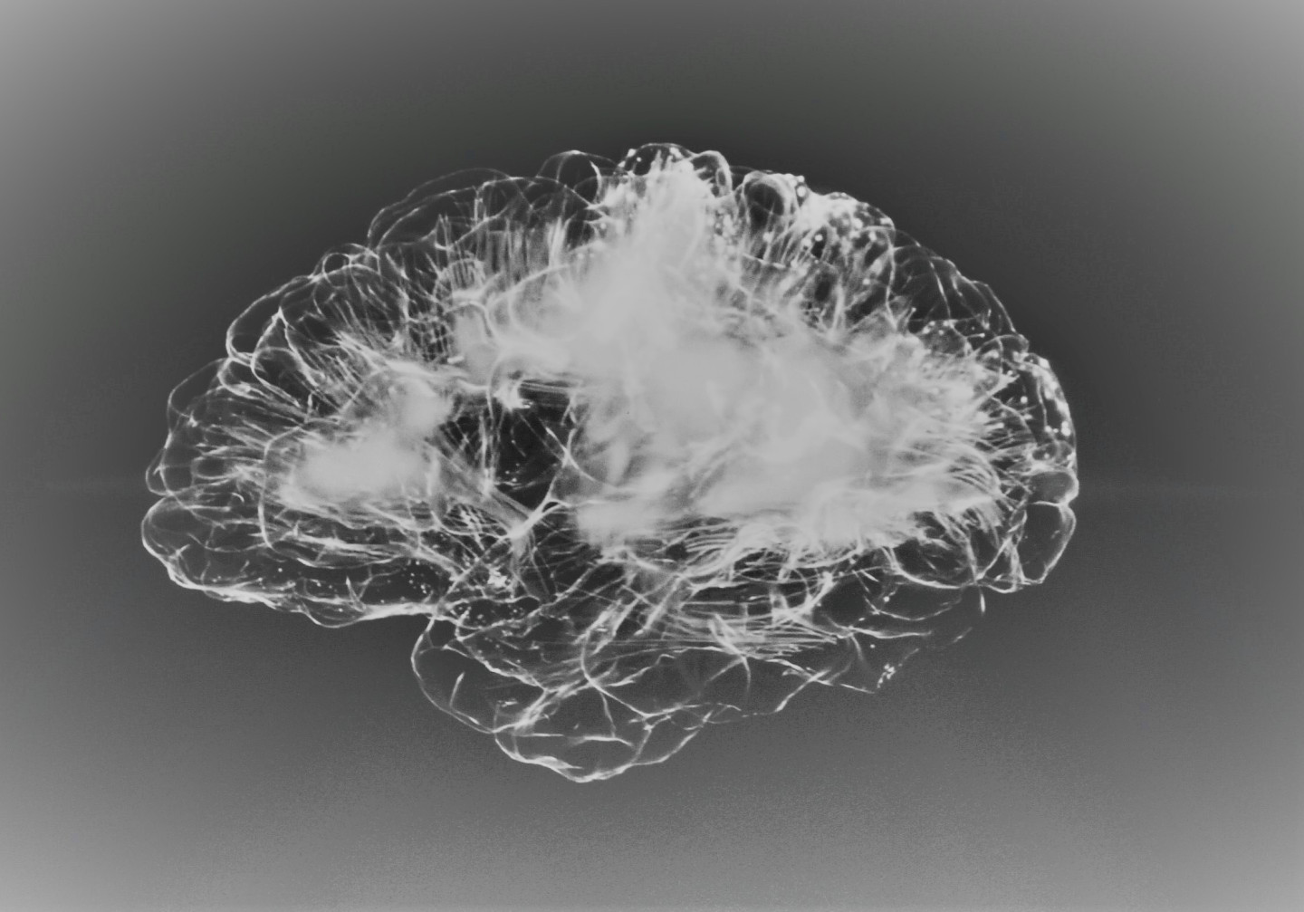 Evens Science Prize 2020